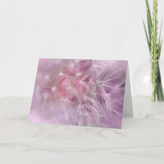 Carte de voeux rose de blanc de pissenlit (Devant)