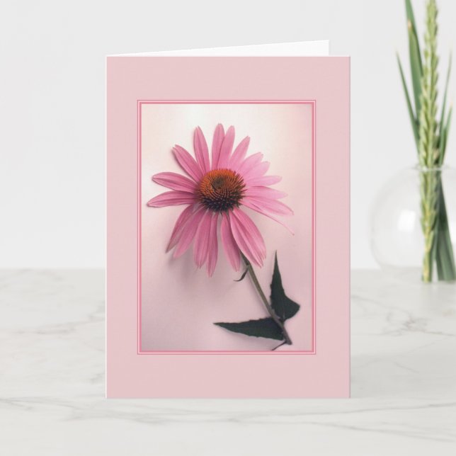 Carte de voeux rose de Coneflower (Devant)