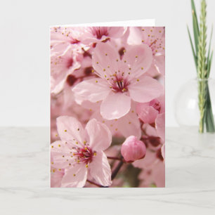 Carte de voeux rose de fleurs de fleur d'arbre de