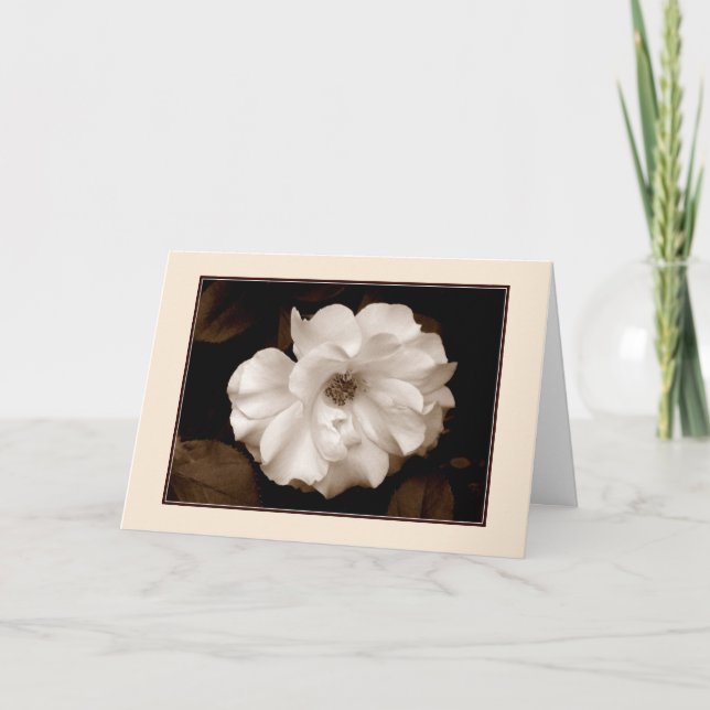 Carte de vœux 'Rose de printemps (Sépia)' (Devant)