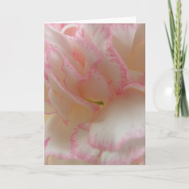 Carte de voeux rose et blanc (Devant)