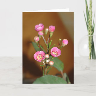 Carte de voeux rose Fleur