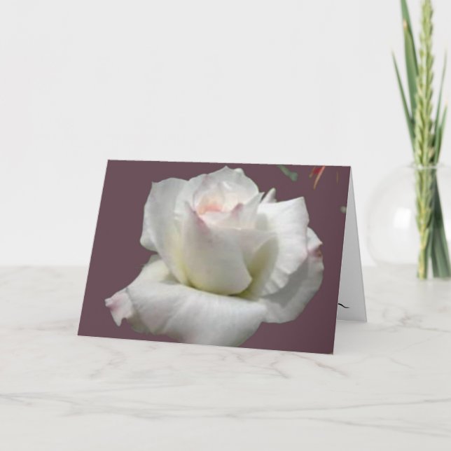 Carte de voeux Rose Passion blanche (Devant)