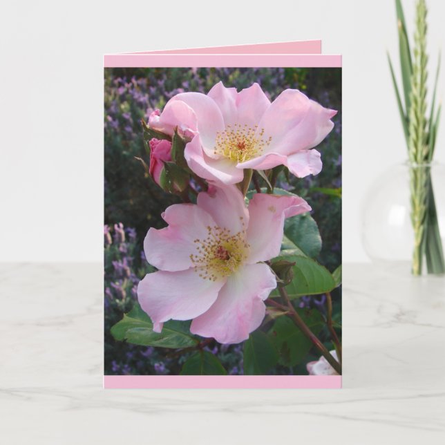 Carte de voeux Rose rose coloré (Devant)