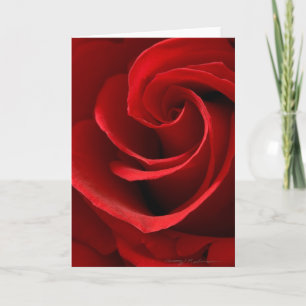 Carte de vœux Rose rouge