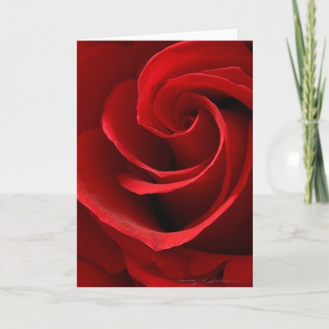Carte de vœux Rose rouge (Devant)