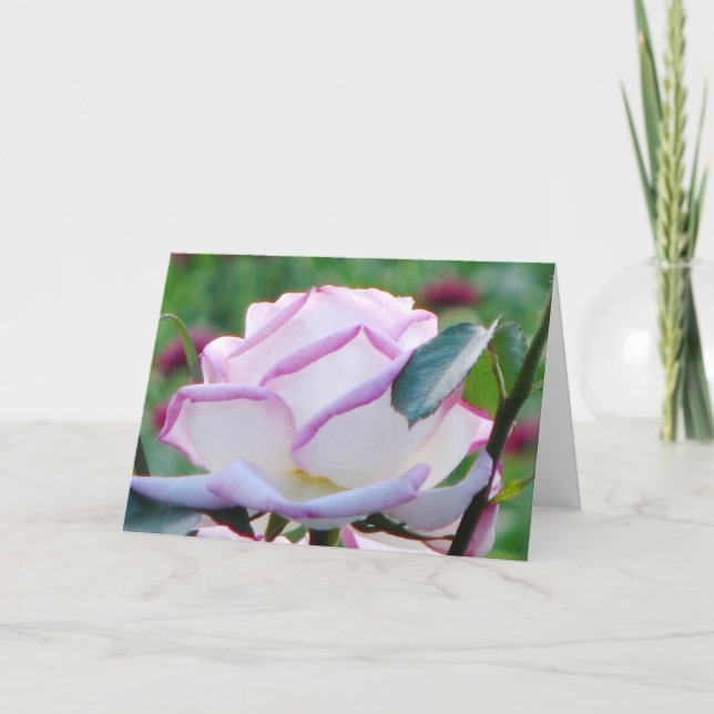 Carte de voeux Rose Tea Rose (Devant)