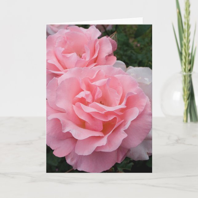 Carte de vœux Roses roses (Devant)