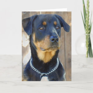 Carte de voeux Rottweiler