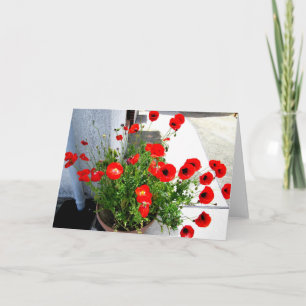 Carte de voeux rouge de photo de pavots