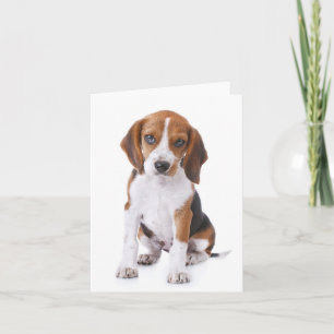 Carte de vœux rouge pour chiot Beagle