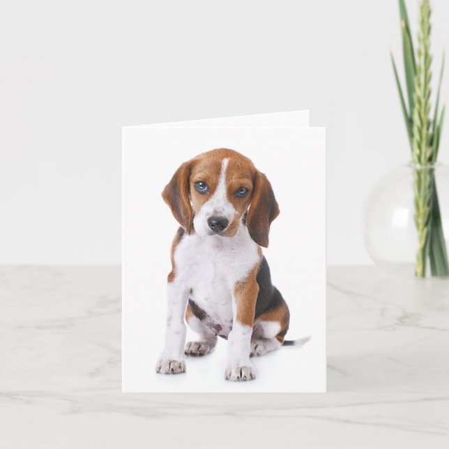 Carte de vœux rouge pour chiot Beagle (Devant)