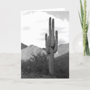 Carte de voeux Saguaro Cactus Sonoran Desert Photo