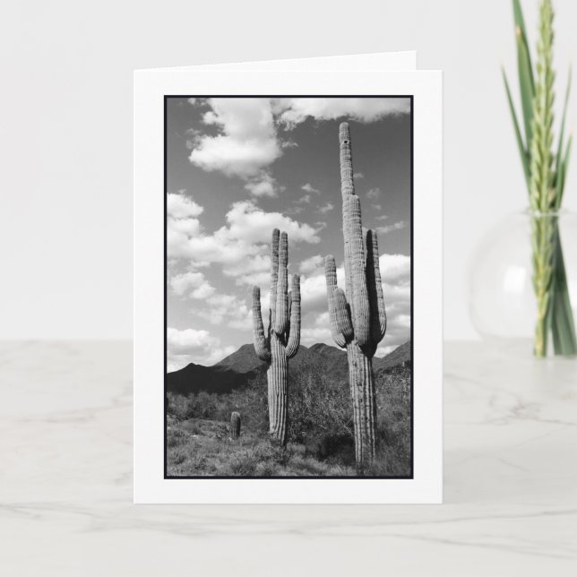 Carte de voeux Saguaro Sentinels (Devant)