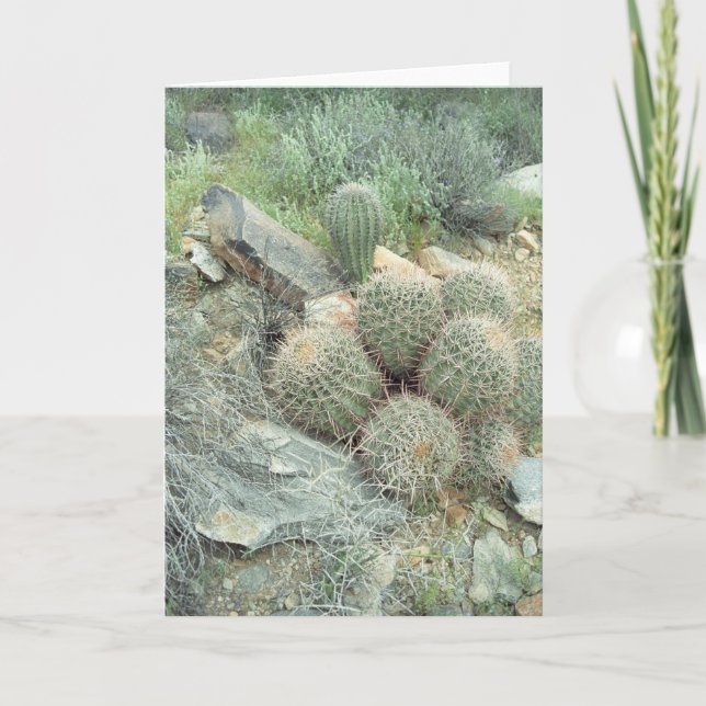 Carte de voeux Saguaro Swirl (Devant)