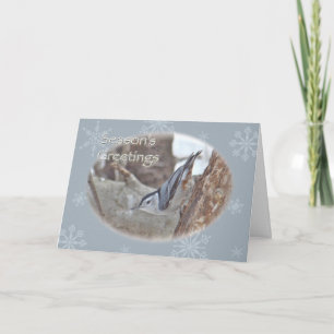 Carte de vœux saisons oiseau chanteur Grise Foncé