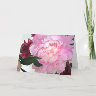 Carte de voeux sans titre de pivoine