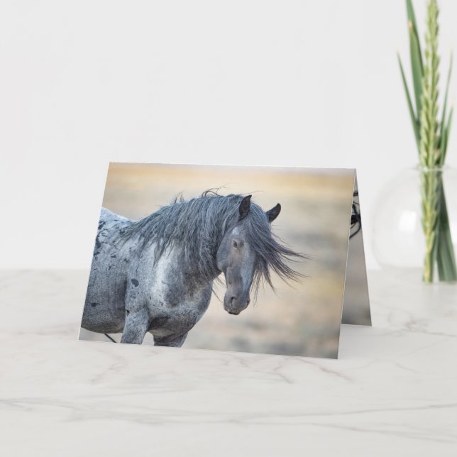 Carte de vœux sauvage Blue Zeus (Devant)
