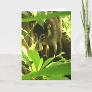 Carte de voeux sauvage de Coati