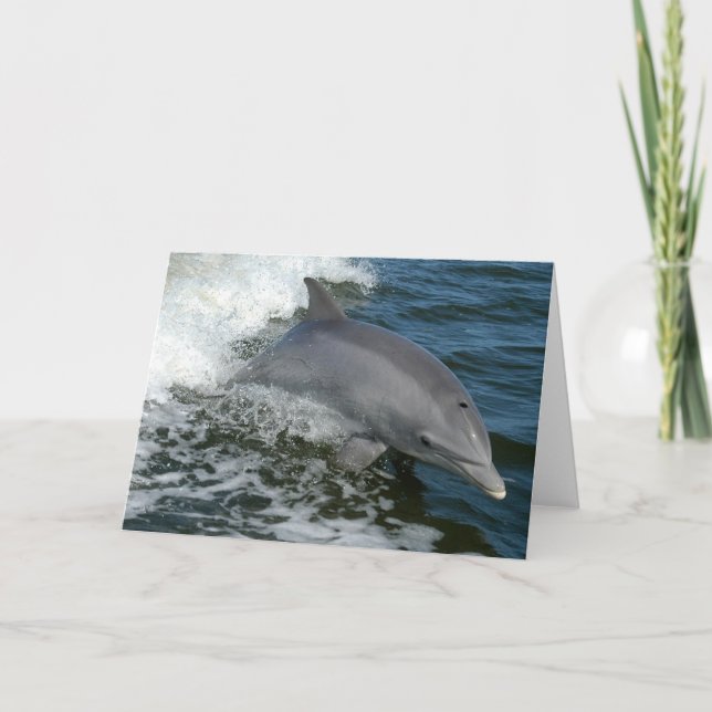 Carte de voeux sauvage de dauphin (Devant)