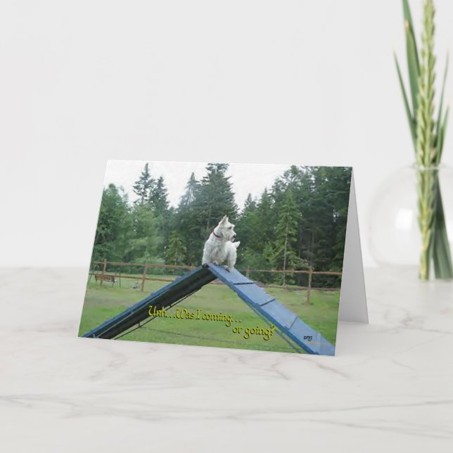 Carte de vœux Scottish Terrier (Devant)
