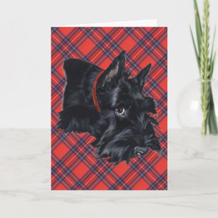 Carte de vœux Scottish Terrier