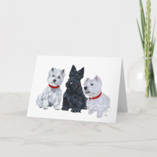 Carte de vœux Scottish Terrier
