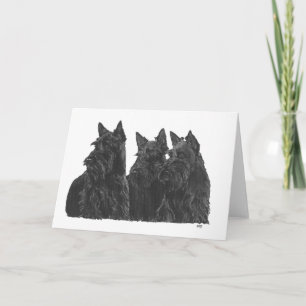 Carte de vœux Scottish Terrier