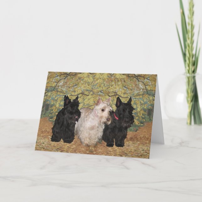 Carte de vœux Scottish Terrier (Devant)