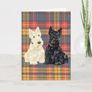 Carte de vœux Scottish Terrier