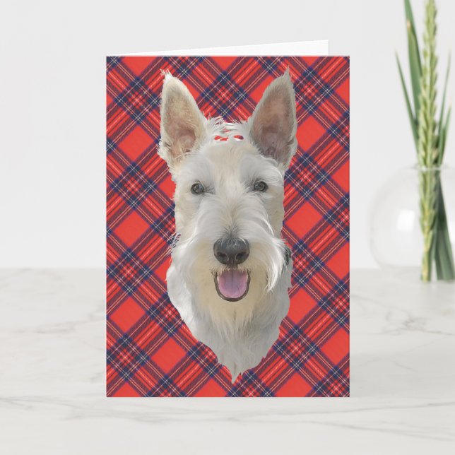Carte de vœux Scottish Terrier (Devant)