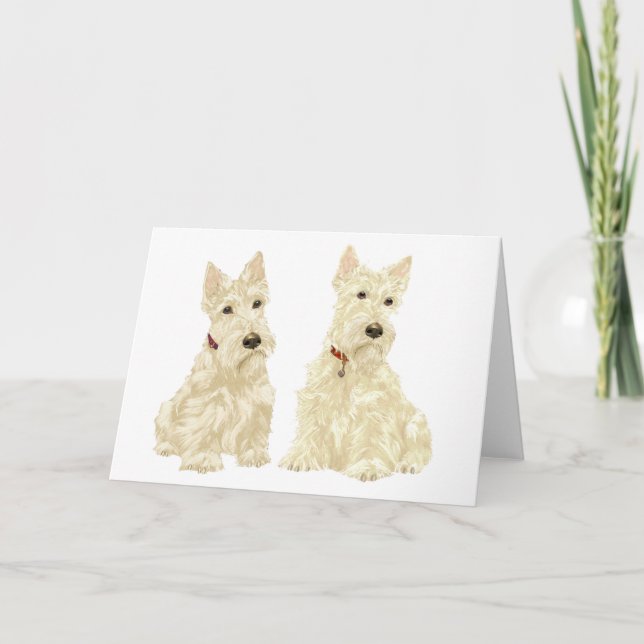 Carte de vœux Scottish Terrier (Devant)