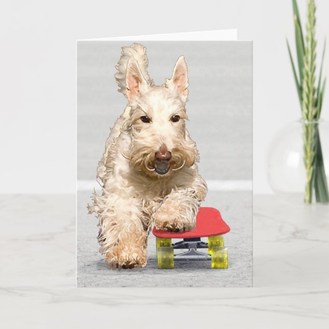 Carte de vœux Scottish Terrier en skateboard (Devant)