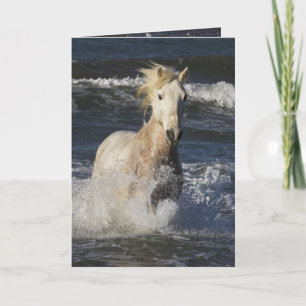 Carte de voeux Sea Horse Horse