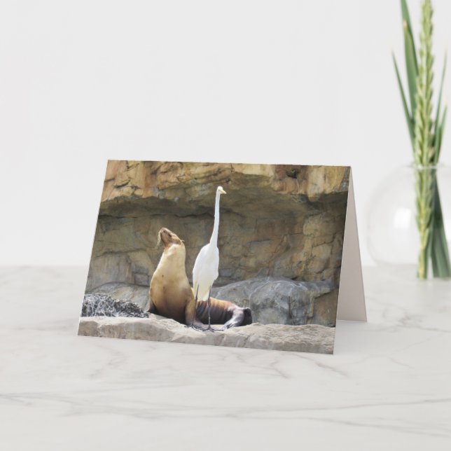 Carte de voeux Sea Lion et Egret (Devant)