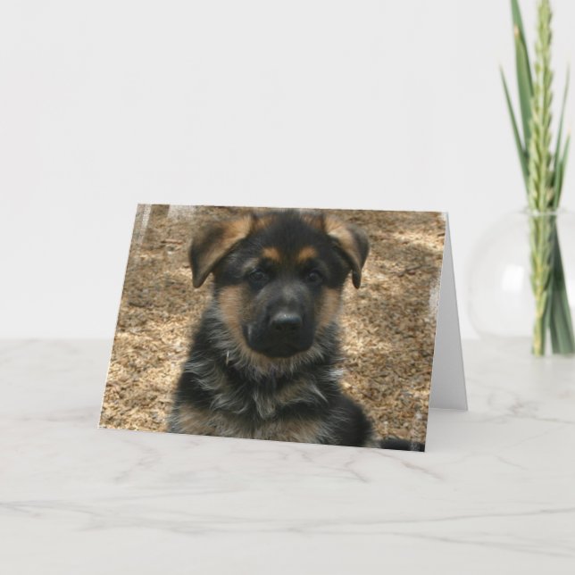 Carte de voeux Shepherd Puppy (Devant)