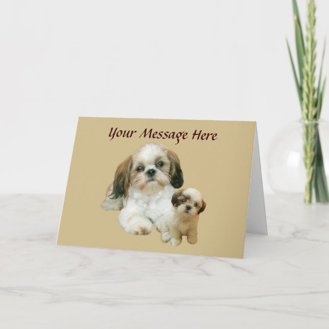 Carte de voeux Shih Tzu Buddies (Devant)