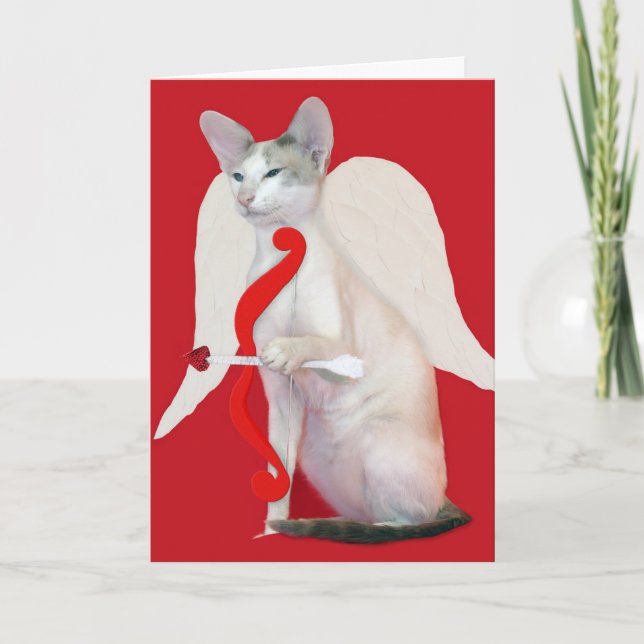 Carte de voeux siamoise de Saint-Valentin de (Devant)
