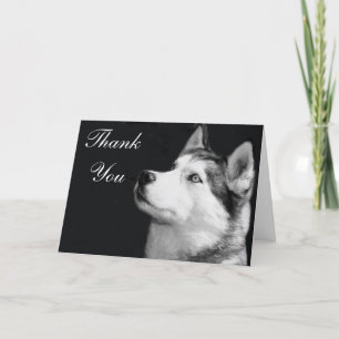 Carte de voeux Sibérie Husky Merci