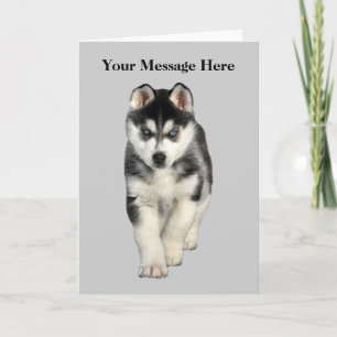 Carte de voeux Sibérienne Husky