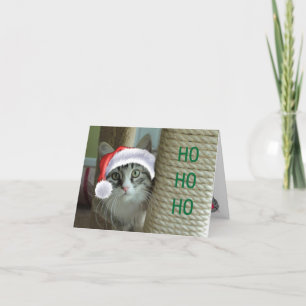 Carte de voeux Sibérienne pour les fêtes de chats