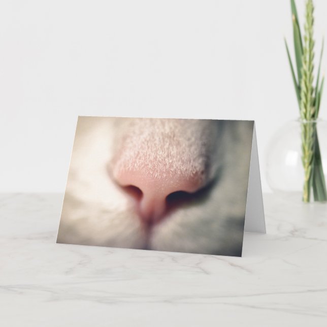 Carte de voeux Silky White Kitty (Devant)