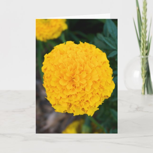 Carte de voeux simple Marigold Jaune (Devant)