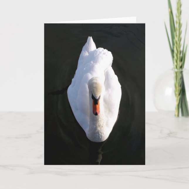 Carte de voeux Simplicity Swan (Devant)
