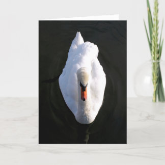 Carte de voeux Simplicity Swan