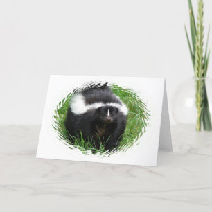 Carte de voeux Skunk Photo