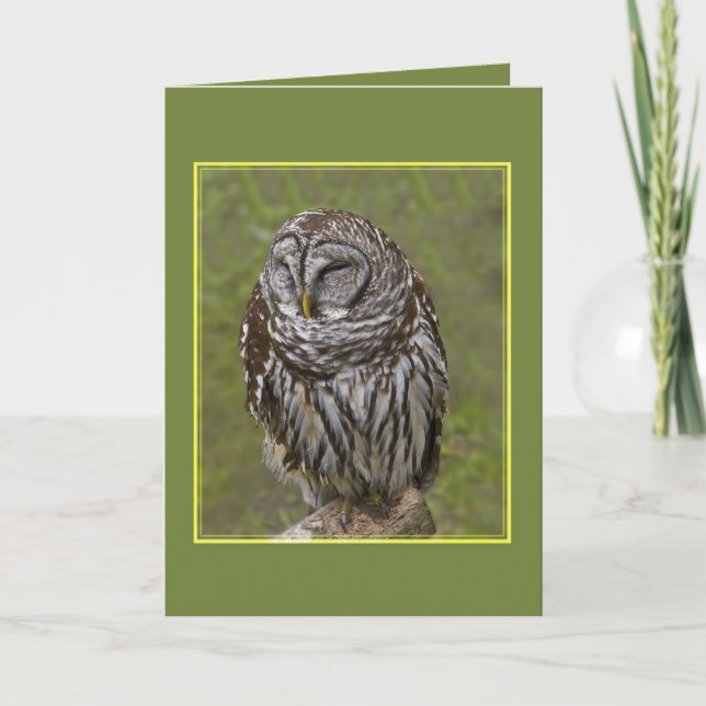 Carte de voeux Sleepy Owl (Devant)