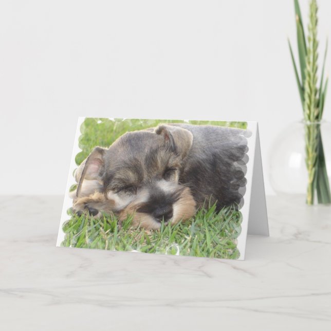 Carte de voeux Snoozing Schnauzer (Devant)