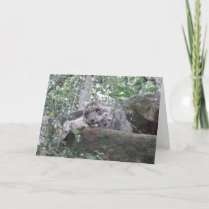 Carte de voeux Snow Leopard
