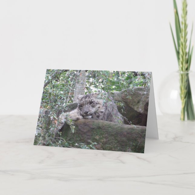 Carte de voeux Snow Leopard (Devant)